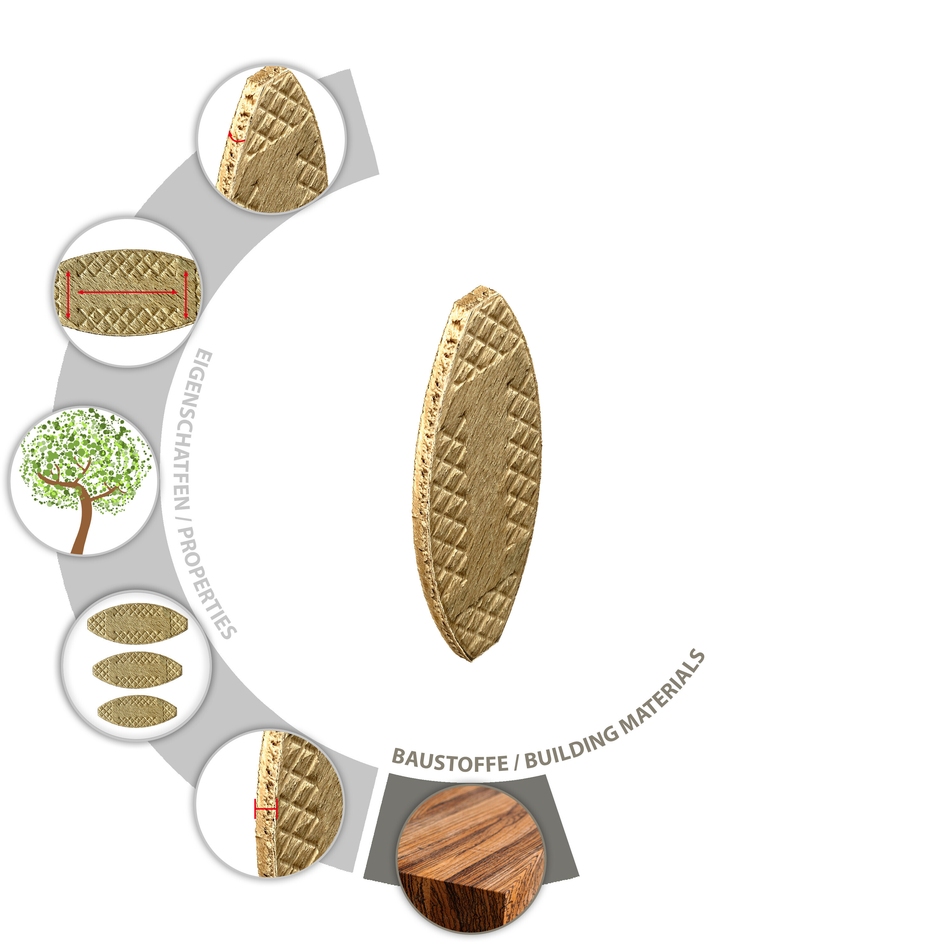 PT2_015260201_Biscuit-Wood_P0.jpg