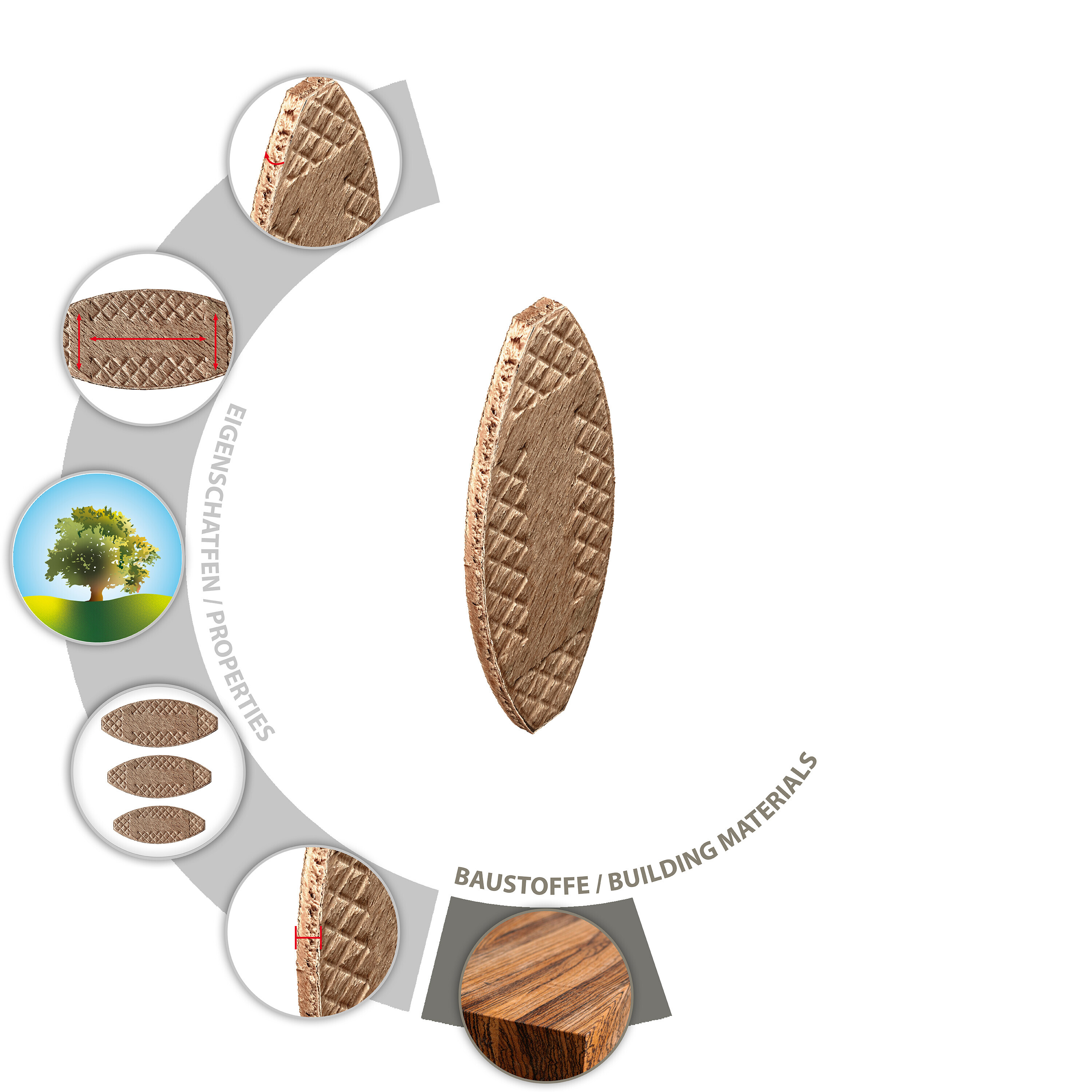 PT2_Biscuit-Wood.jpg
