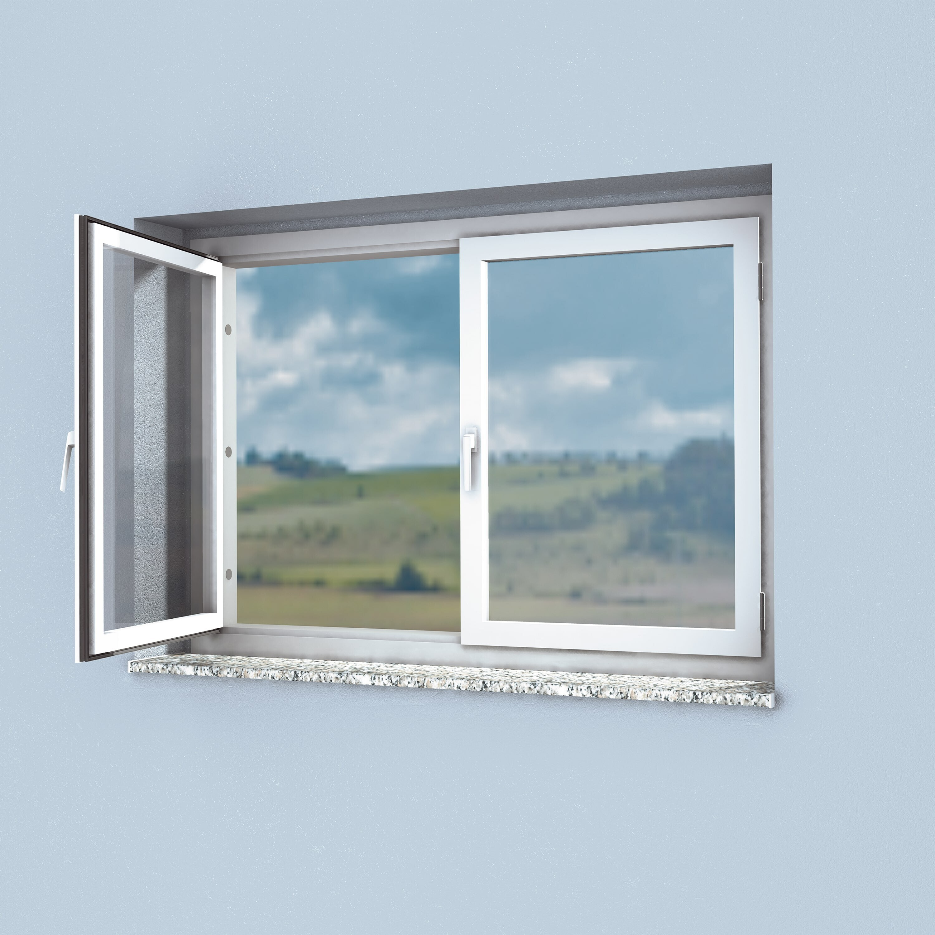 PT5_Window-Pro.jpg